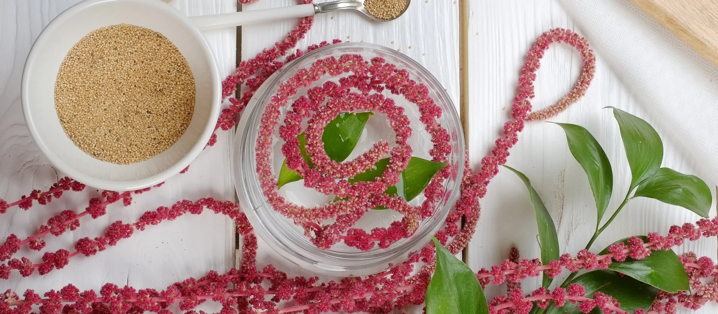 Amaranth Rezept – lecker und einfach glutenfrei essen