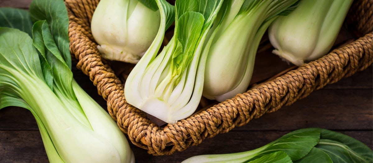Pak Choi zubereiten: Asiatisches Allroundtalent mit feiner Senfnote